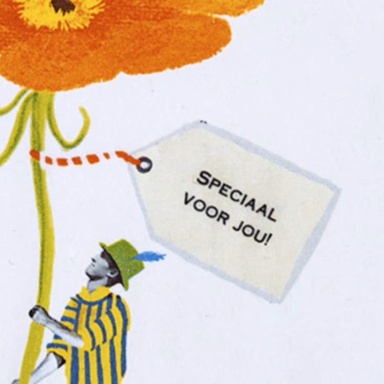 Bringing you a bloom - Afbeelding 3